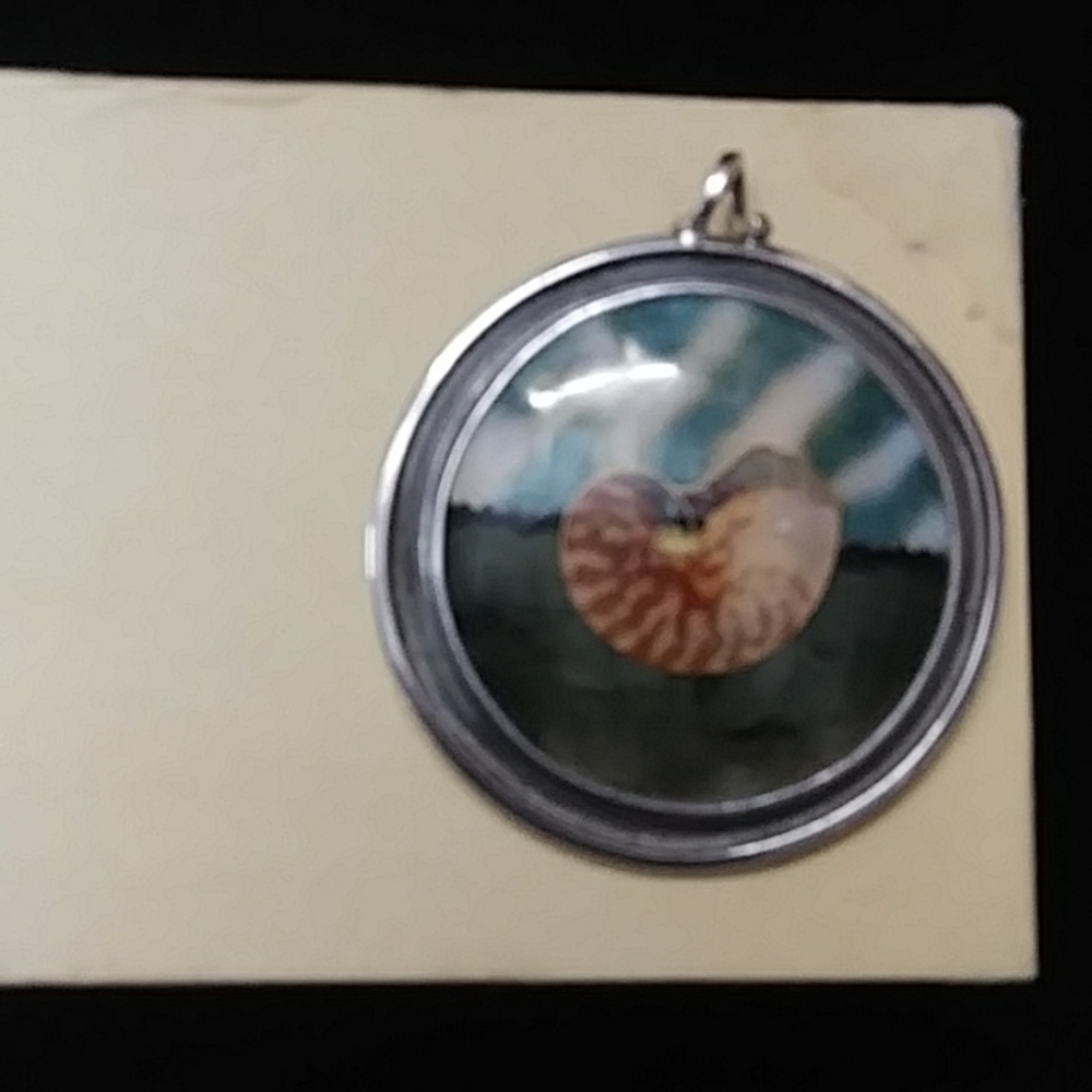 Cloisonne' Enamel Pendant